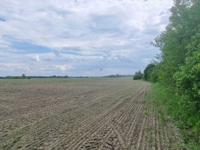 Продам земельний масив 600 га ОСГ в Житомирській області від Власника Звягель