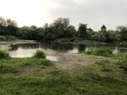 Земельна ділянка з видом на річку Звягель