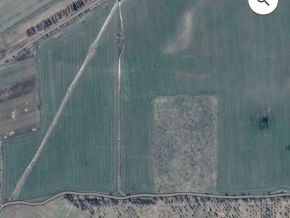 Продам 4.0 Га землі в Новоград-Волинському р-ні , Барвинівська с/ рада Звягель