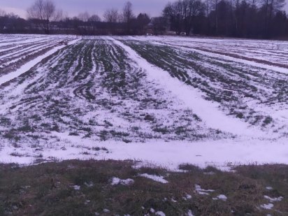 Земельна ділянка Звягель
