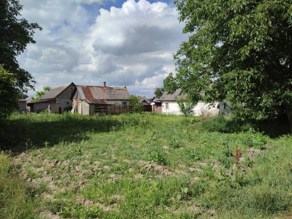 Будинок, земельна ділянка Звягель