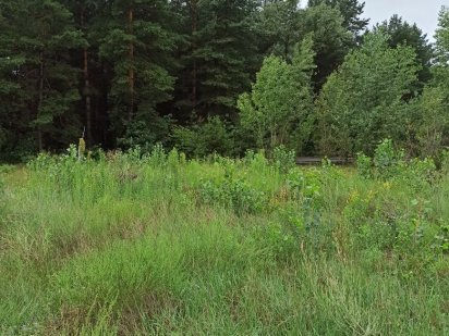 Продажа участка с Кренычи