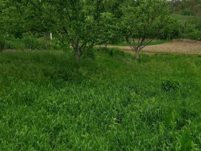 Дзюбiвка.Продаж дiлянки в Обуховi.