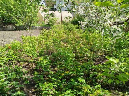 Продам земельну ділянку