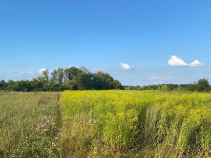 Ділянка земля в Обухові м-рн Дзюбівка Польок