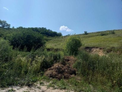 Участок 30 соток,топ.предложение,под горой,лес.Обмен. Обухов