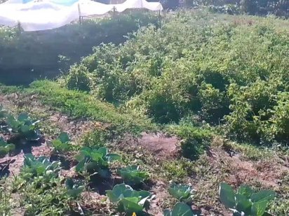 Земельный участок, 8 соток Павлоград