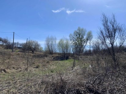 Продам ділянку р-н СТ СЯЙВО, Обухів