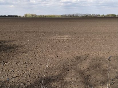 Ділянка 25га Обухівський р-н