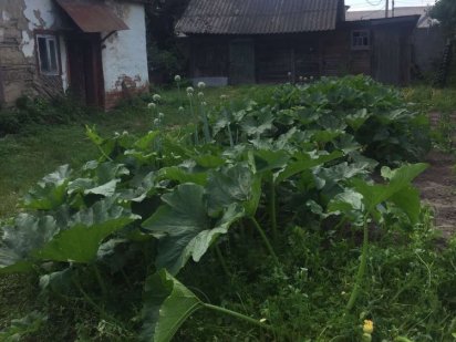 Продам земельну ділянку Прилуки