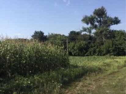 Продам землю Прилуки