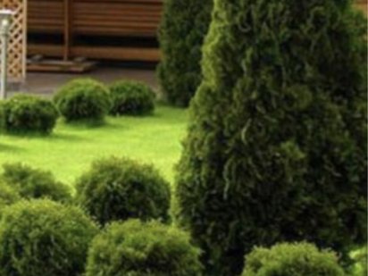 Участок под застройку 16 сот Прилуки