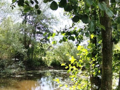 Продаж земельної ділянки під Прилуками Прилуки