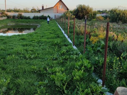 Земельна ділянка під будівництво, околиці м. Сарни, Рівненська обл