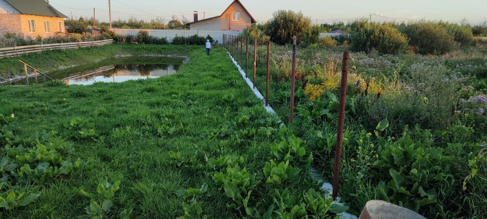 Земельна ділянка під будівництво, околиці м. Сарни, Рівненська обл - фото 1