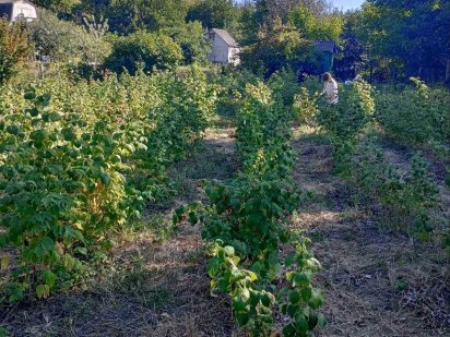 Земельна ділянка Сміла