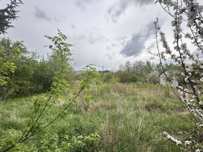 Земельна ділянка