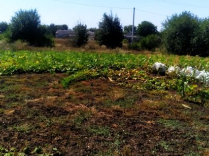 Земля на продаж 10сток Сміла