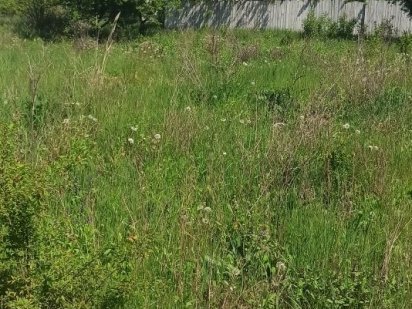 Продам участок в Солоницевке Солоницівка