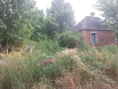 Продам земельный участок с домиком в Солоницевском ОТГ (п.Ольшаны) Солоницівка