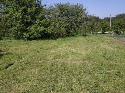 Дачна ділянка (земля) Солоницівка