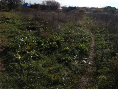 Продам участок в Солоницевке Солоницівка