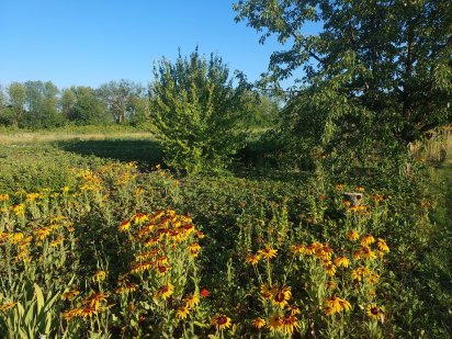 Продам участок в Солоницевском Отг (п Берминводы) Солоницівка