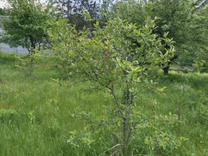 Продам ділянку Солоницівка Солоницівка