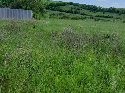 8000! Участок в Солоницевке! Солоницівка