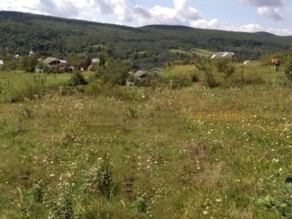 Земельні ділянки Стрый