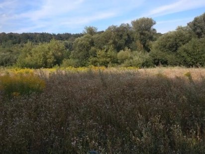 Ділянка Пашковецька сільська рада Старокостянтинів