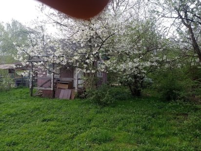 Продається дачний участок місто Трускавець 5200$ + торг Трускавець