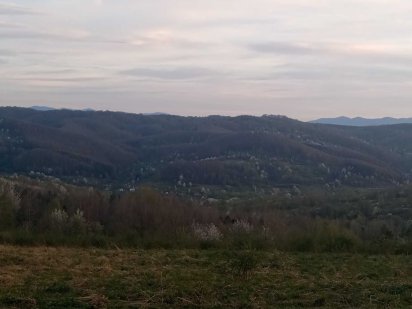 Земельна ділянка 4,39 га. гори Карпати Трускавецьке Отг Трускавец