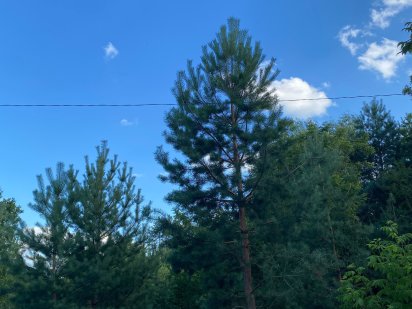 Ділянка 50 хв від Нивки, Чайка, Академмістечко Фастов