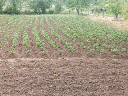 Приватизована дачна ділянка(участок) Хмельник