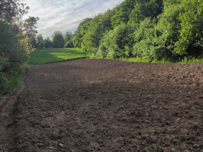 продам земельну ділянку поряд з лісом, 62 сот., наявні комунікації