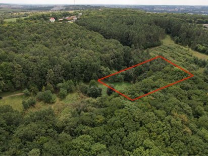 Ділянка в середині лісу! Хмельницький Хмельницкий