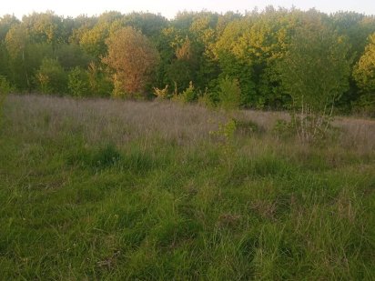 Терміново продам Земельну ділянку Хмельницький