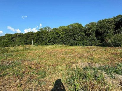 Неймовірна пропозиція. Затишне місце. Поруч ліс Хмельницький