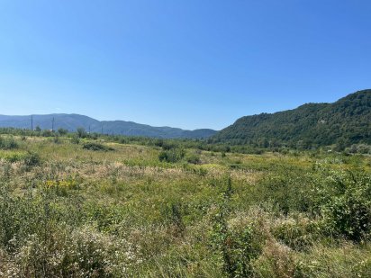 Земельні ділянки, житлової забудови, Закарпатська обл. у м.Хуст Хуст