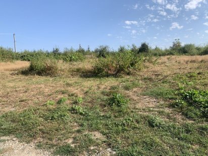 Продається земельна ділянка Хуст