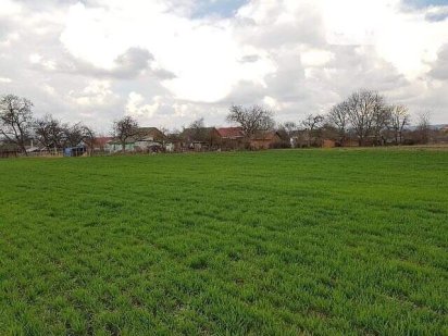 Земельна ділянка під забудову 0,1га (10соток) в Книжківкях Хмельницький