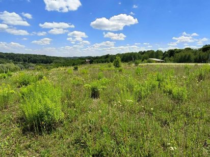 Продаж  земельної ділянки масив Царський