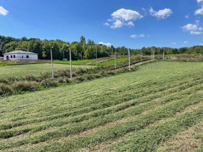 Прожаж землі в Ружичному