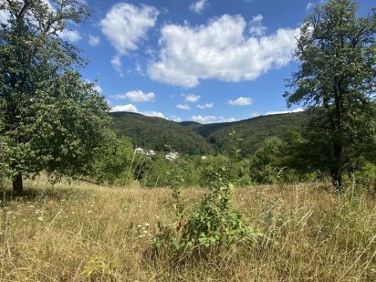 Земельна ділянка 26 соток