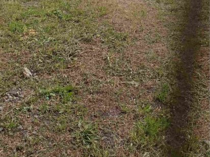 Земельна ділянка під забудову Хуст