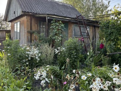 Продається дачна ділянка з деревяним будинком