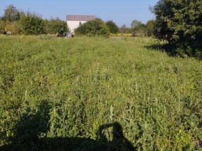 Продам земельну ділянку