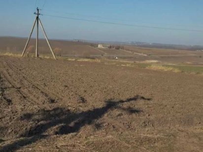 Ружична Продаж земельної ділянки Подільський смак