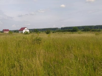 Продаж  10 сот .Раково